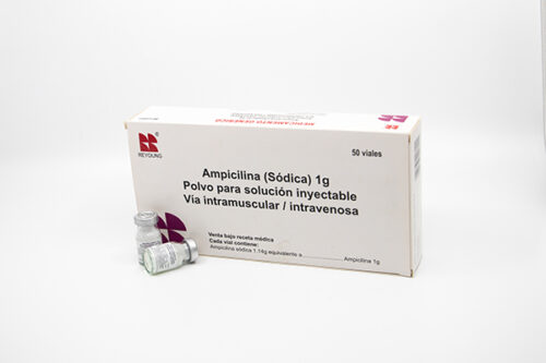 Ampicilina 1g